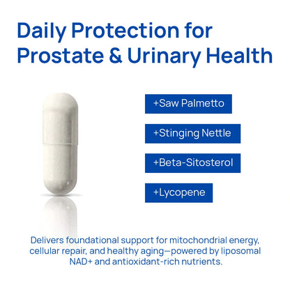 Alpha NAD+ Supplement for Men